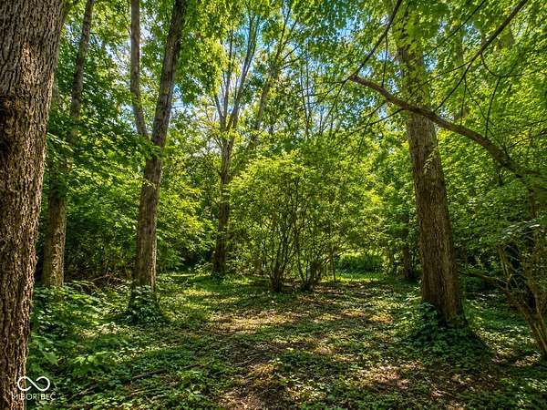 0.11 Acres of Residential Land for Sale in Indianapolis, Indiana