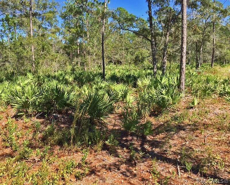 1.62 Acres of Residential Land for Sale in Homosassa, Florida