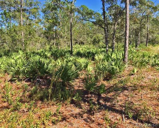 1.62 Acres of Residential Land for Sale in Homosassa, Florida