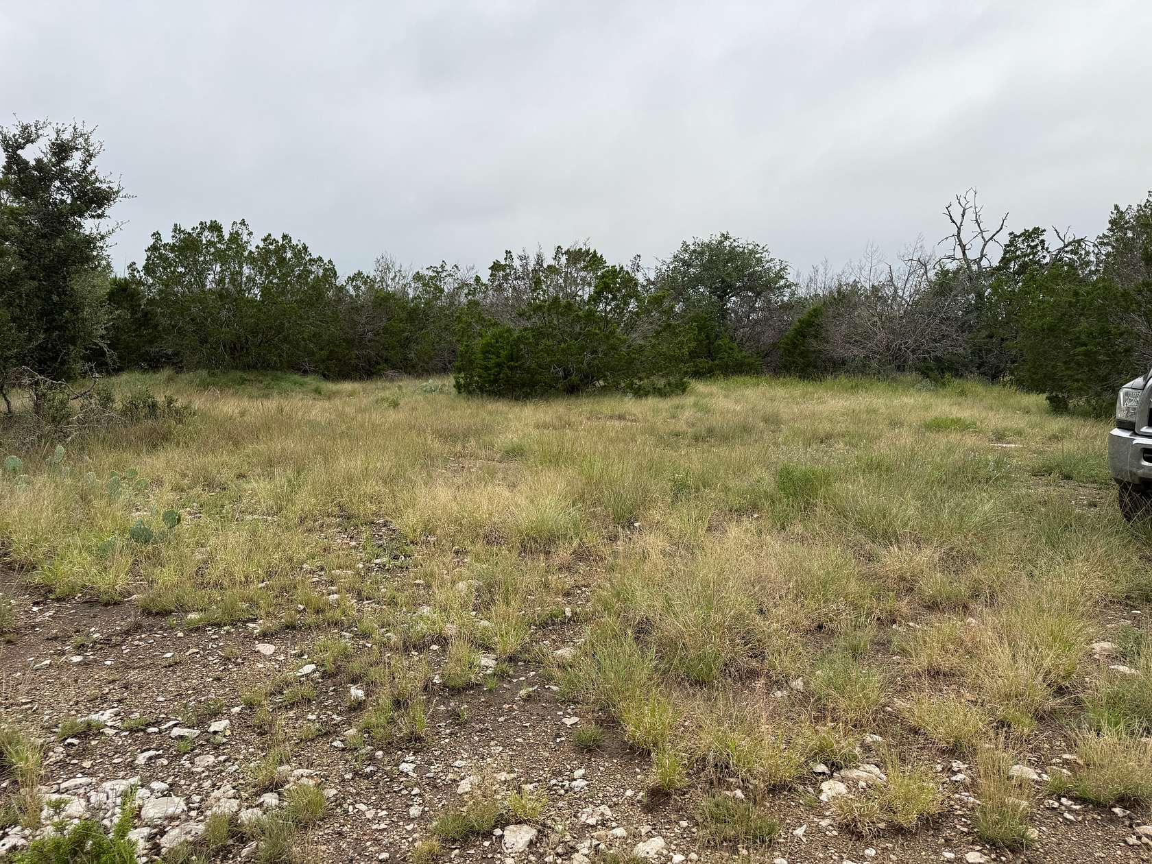 23.3 Acres of Recreational Land for Sale in Menard, Texas