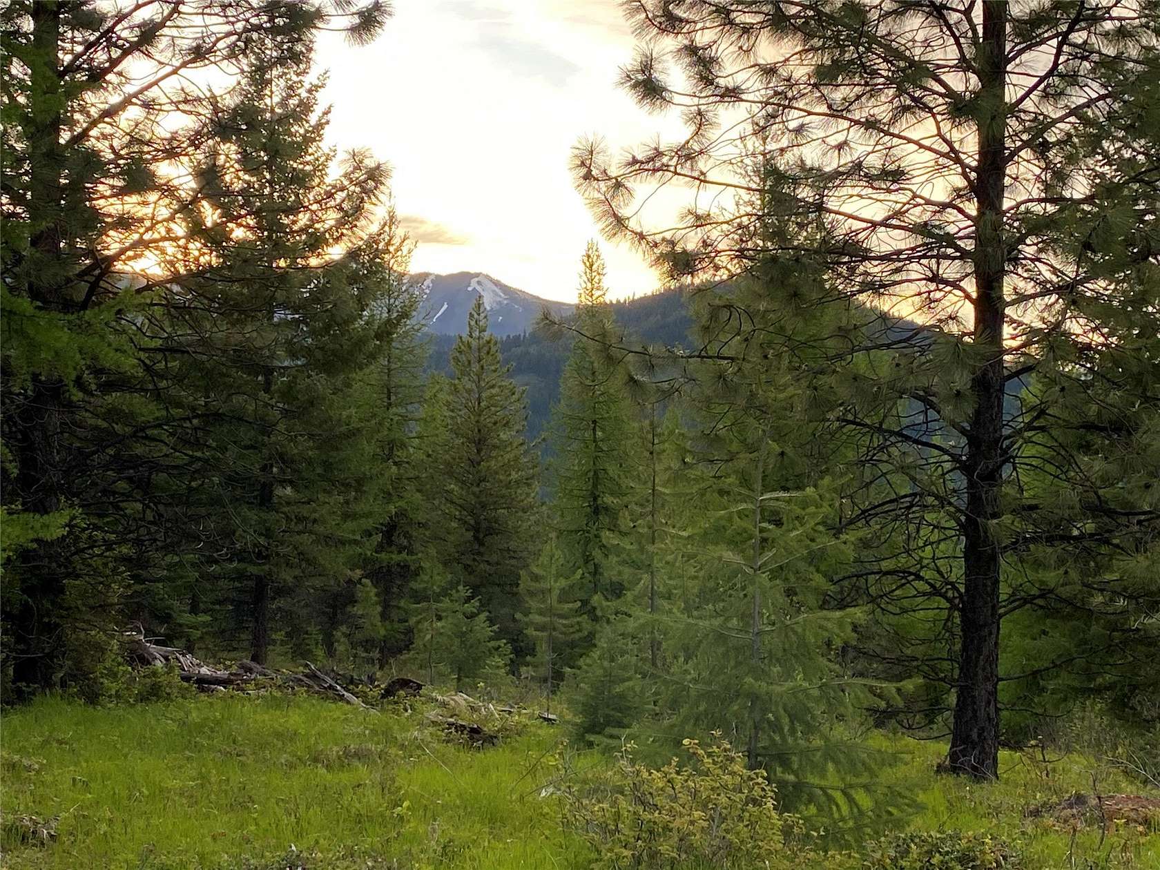 3.74 Acres of Residential Land for Sale in Libby, Montana