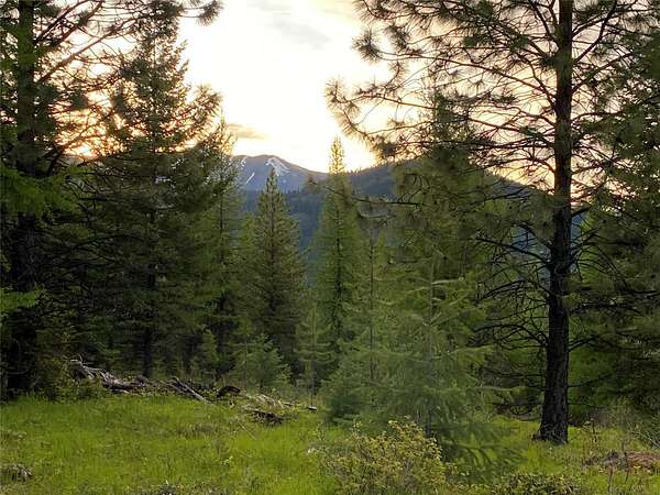 3.74 Acres of Residential Land for Sale in Libby, Montana