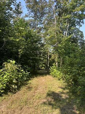10.5 Acres of Recreational Land for Sale in Magnolia, Kentucky