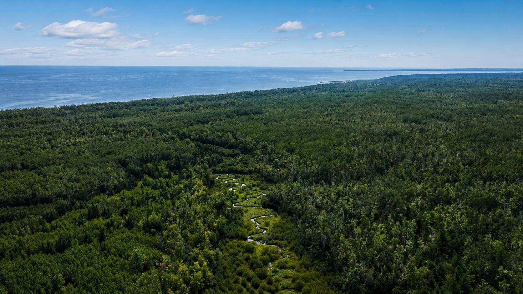 86 Acres of Recreational Land for Sale in Millersburg, Michigan