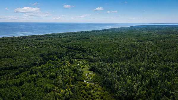 86 Acres of Recreational Land for Sale in Millersburg, Michigan