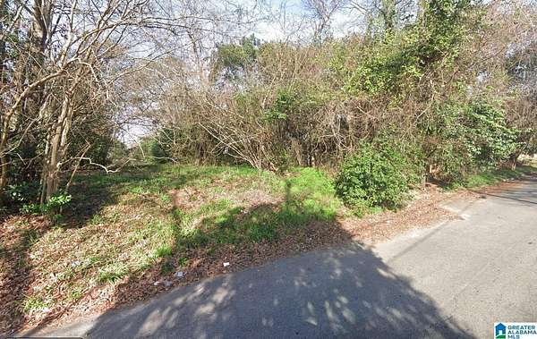 0.18 Acres of Residential Land for Sale in Montgomery, Alabama