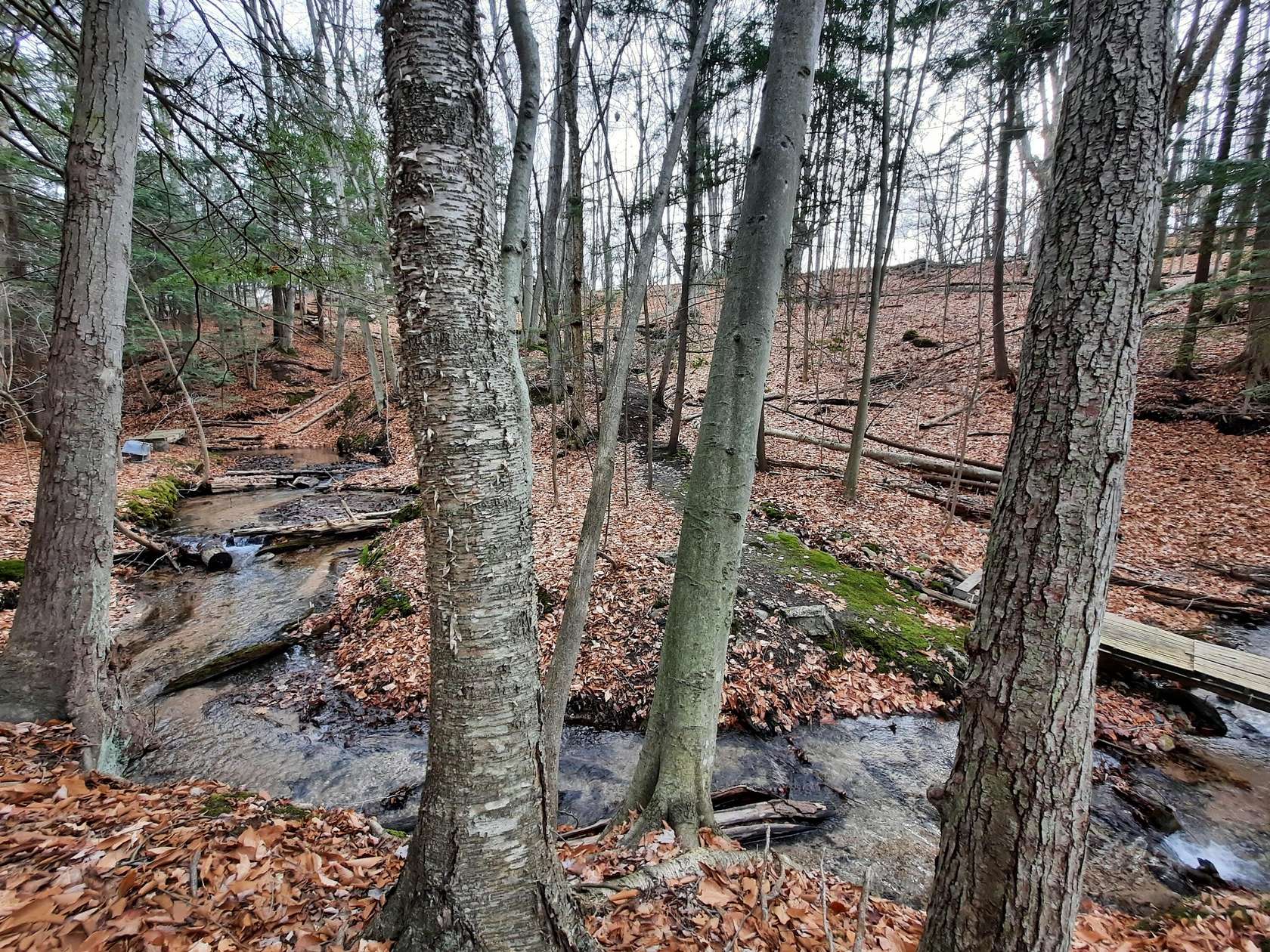8 Acres of Land for Sale in Onekama, Michigan