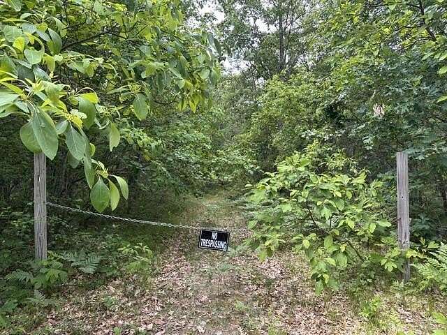 16.8 Acres of Recreational & Residential Land for Sale in Irons, Michigan