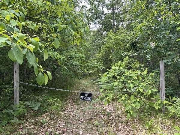 16.8 Acres of Recreational & Residential Land for Sale in Irons, Michigan