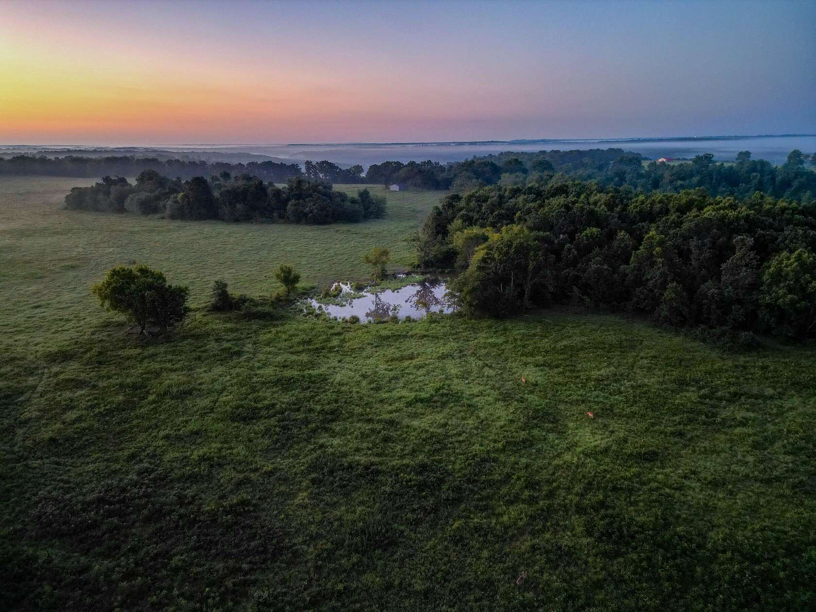 257 Acres of Land for Sale in Mountain Grove, Missouri