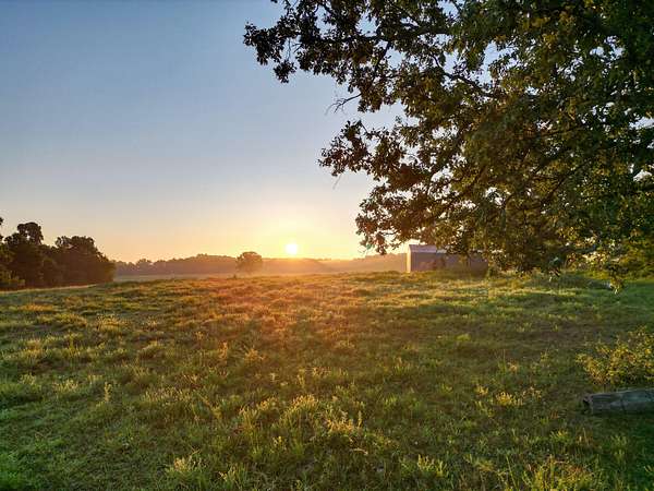 257 Acres of Land for Sale in Mountain Grove, Missouri