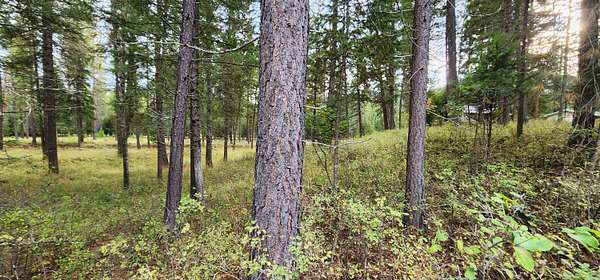 2 Acres of Residential Land for Sale in Libby, Montana