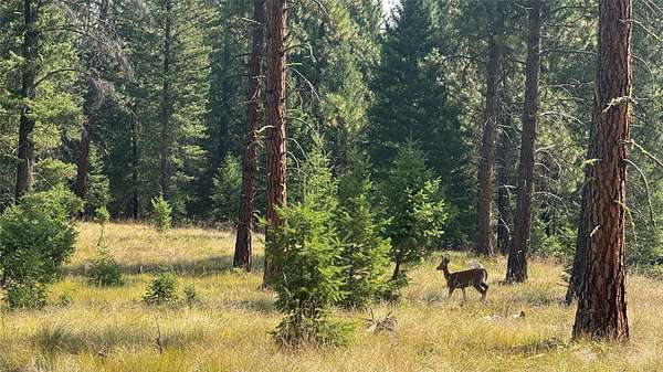 13.3 Acres of Recreational Land for Sale in Libby, Montana