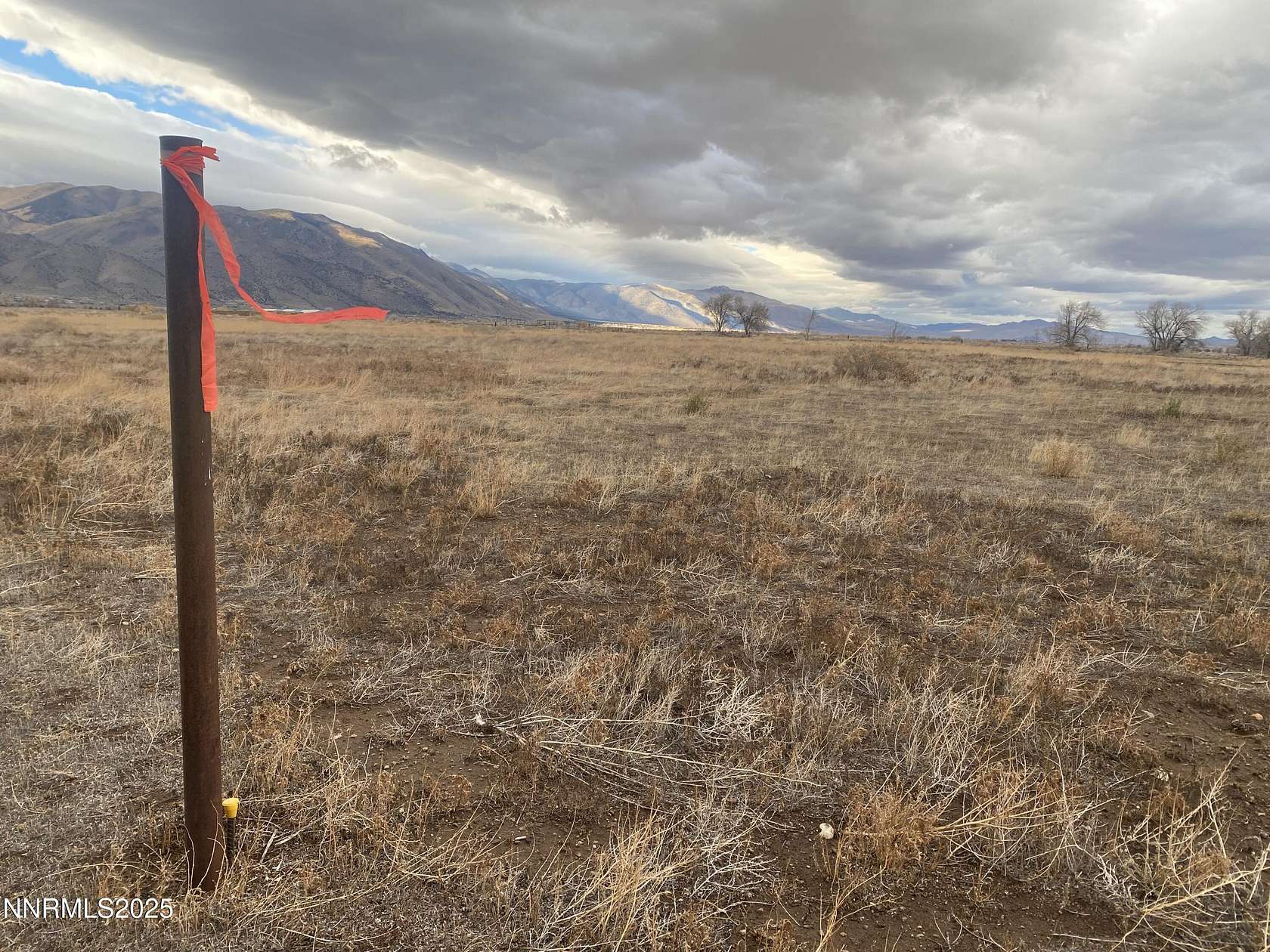 5 Acres of Residential Land for Sale in Wellington, Nevada