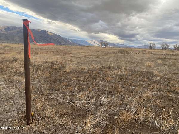 5 Acres of Residential Land for Sale in Wellington, Nevada