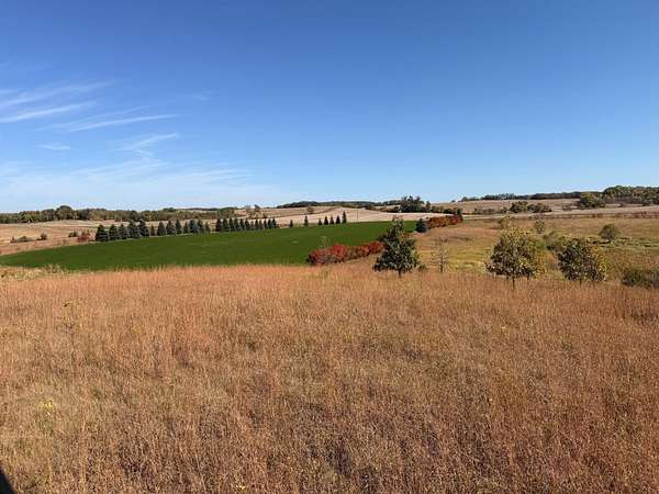 59.6 Acres of Recreational & Residential Land for Sale in Evansville, Minnesota