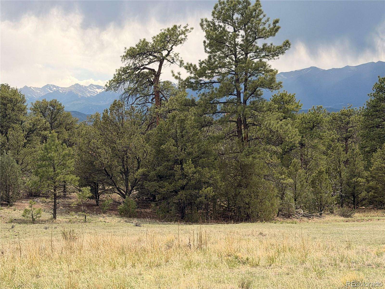4.82 Acres of Residential Land for Sale in Cotopaxi, Colorado