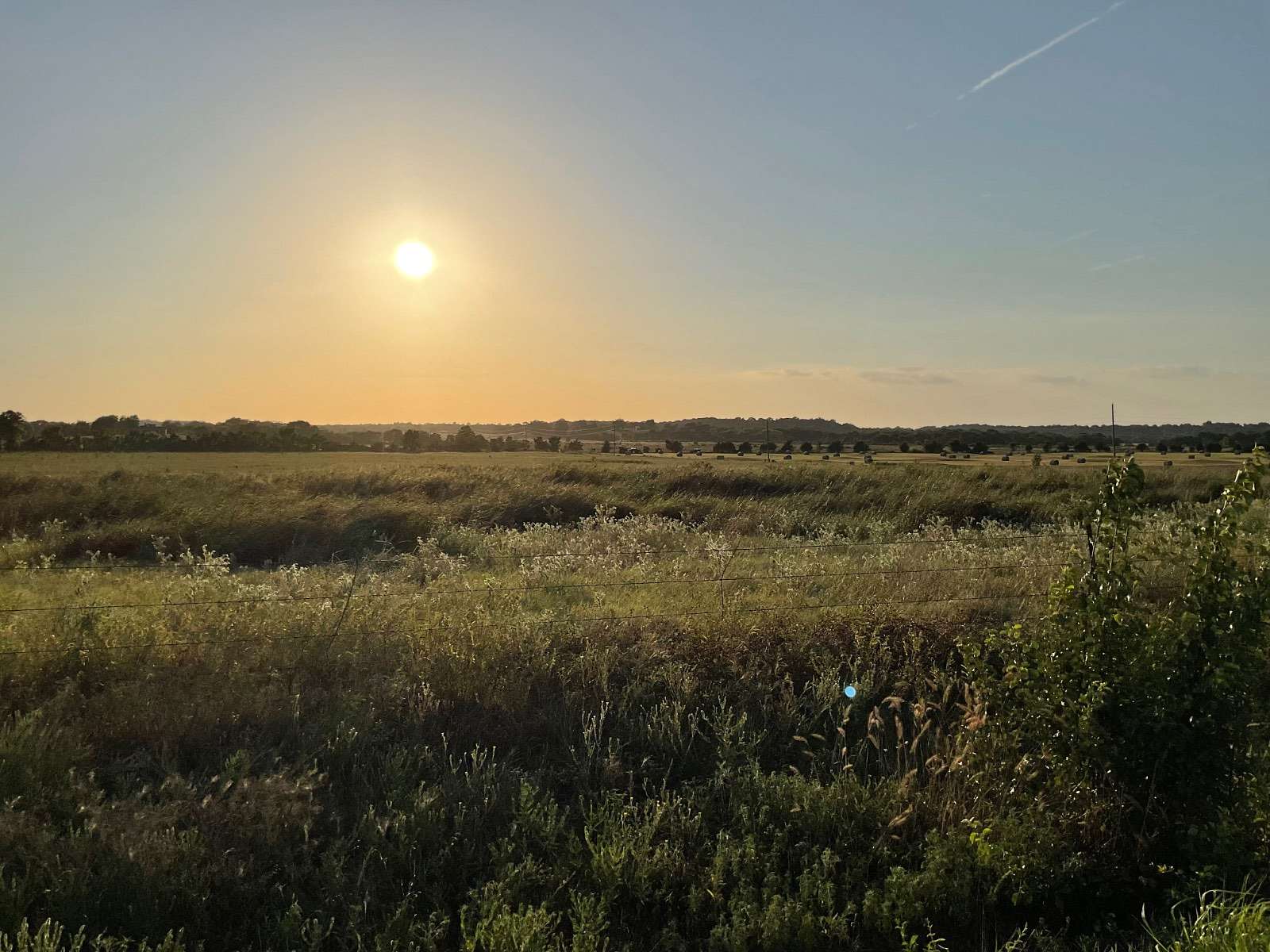 78.3 Acres of Land for Sale in Branch, Arkansas