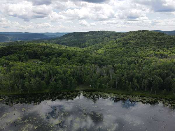 3 Acres of Residential Land for Sale in Milford, New York