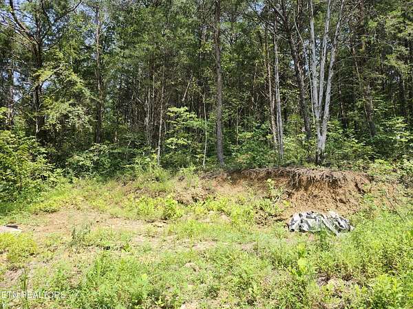 10 Acres of Residential Land for Sale in Sevierville, Tennessee