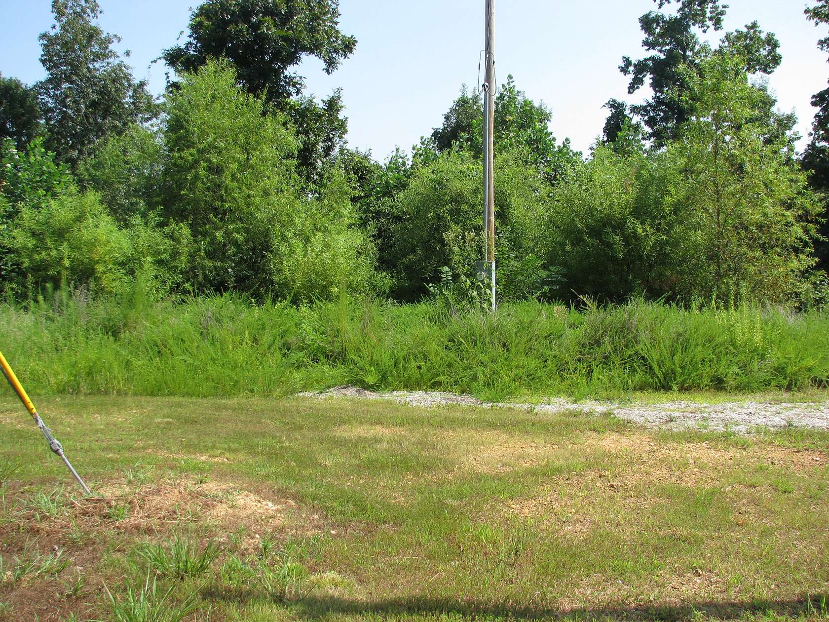 8 Acres of Residential Land for Sale in Waverly, Tennessee