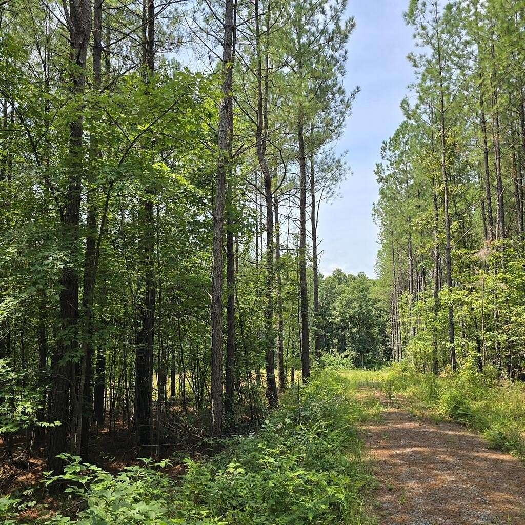 9.48 Acres of Land for Sale in Robbins, Tennessee