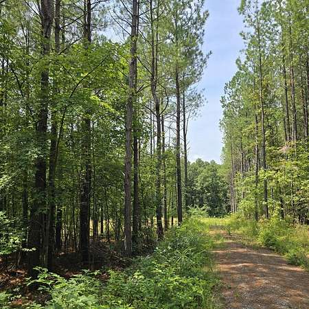 9.48 Acres of Land for Sale in Robbins, Tennessee
