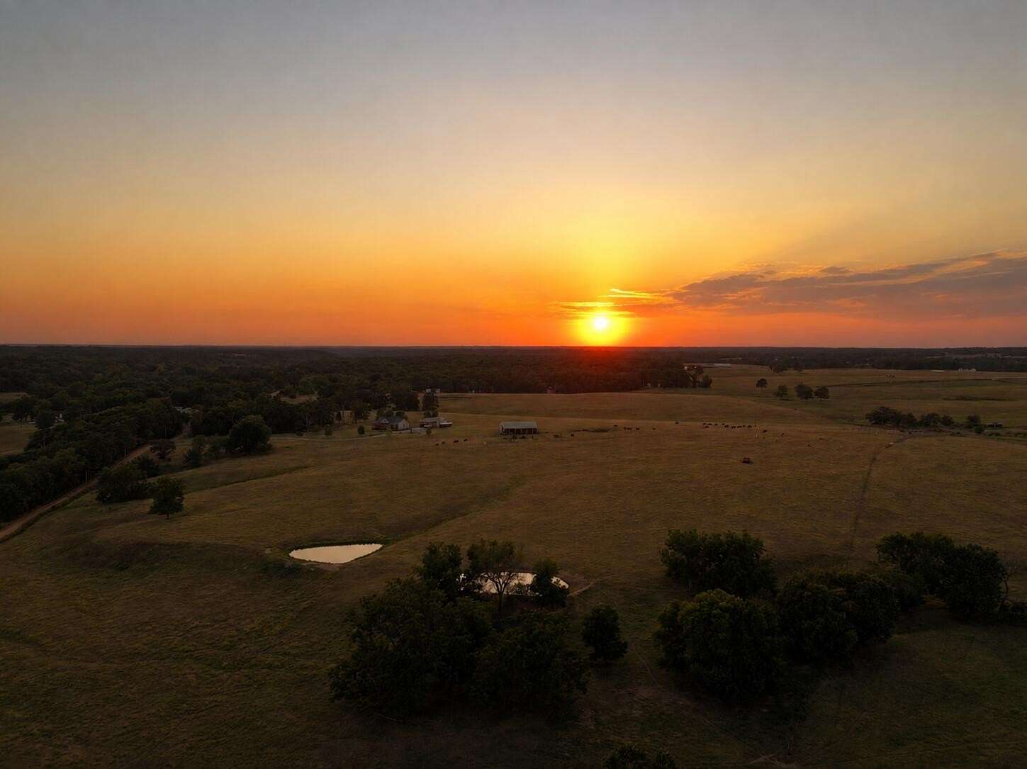 20 Acres of Land for Sale in Anderson, Missouri