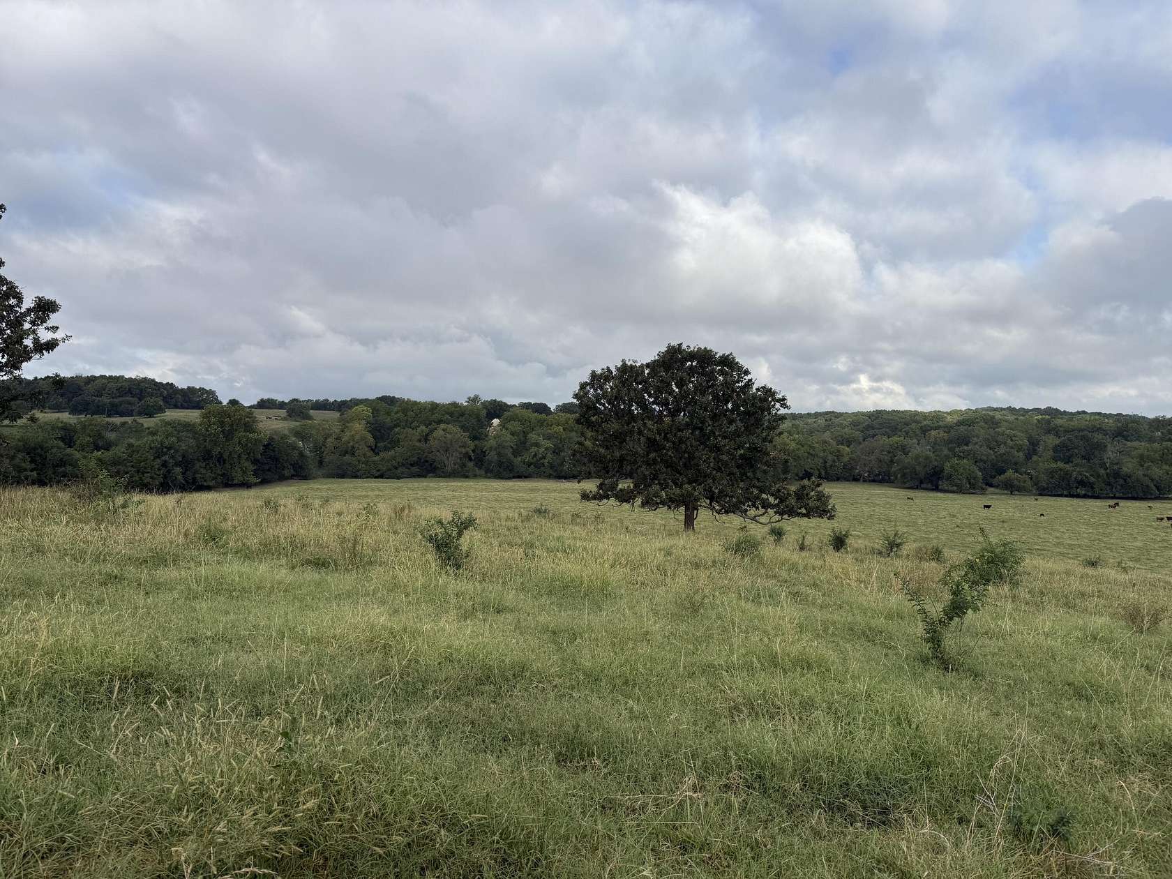 7 Acres of Land for Sale in Republic, Missouri