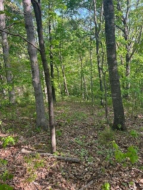0.38 Acres of Residential Land for Sale in Bella Vista, Arkansas