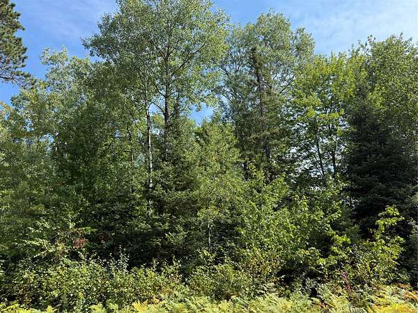 1.53 Acres of Residential Land for Sale in Cable, Wisconsin