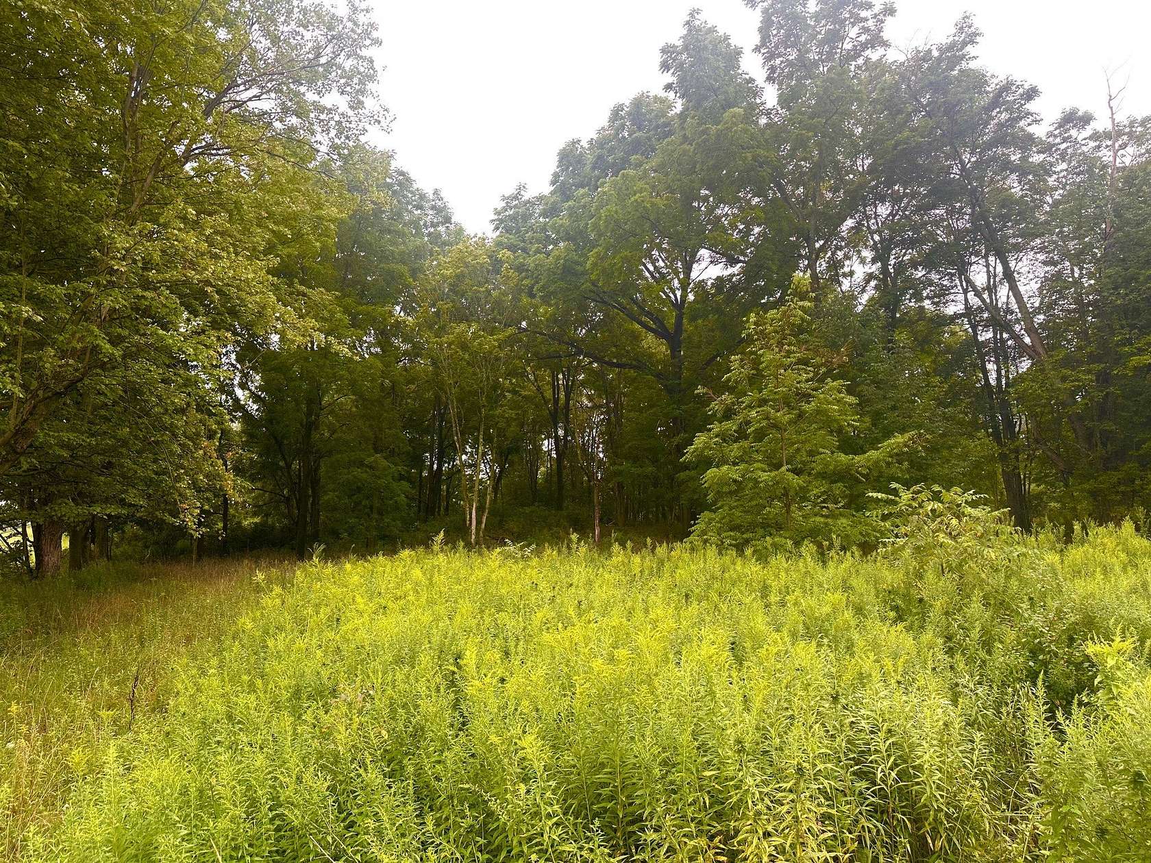 10 Acres of Residential Land for Sale in Edinboro, Pennsylvania