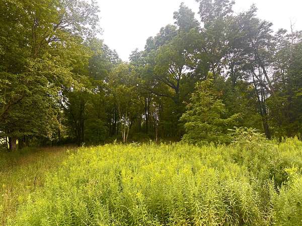 10 Acres of Residential Land for Sale in Edinboro, Pennsylvania