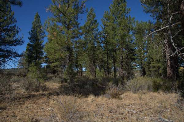 1.56 Acres of Residential Land for Sale in Chiloquin, Oregon