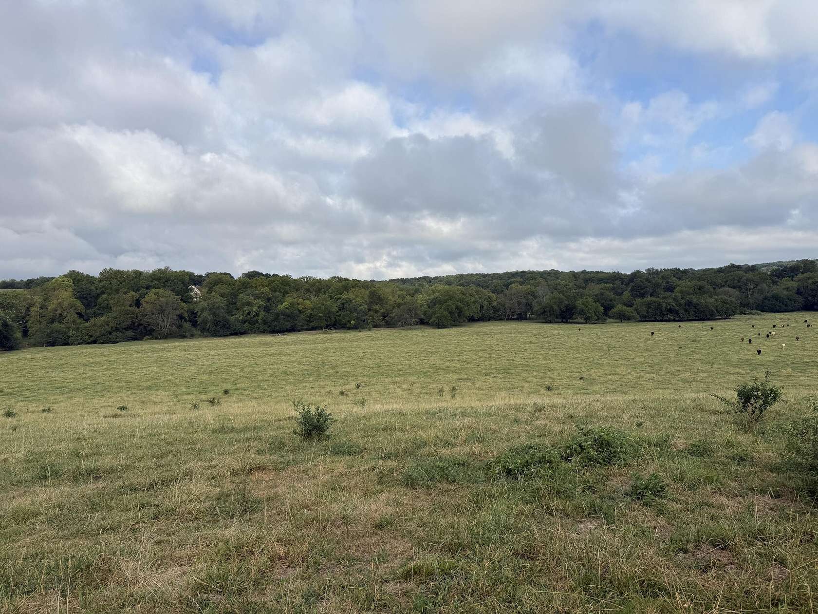 21.6 Acres of Land for Sale in Republic, Missouri