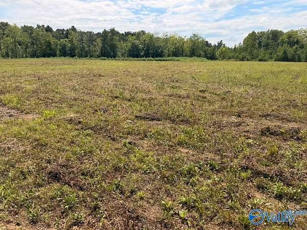 3.74 Acres of Residential Land for Sale in Piedmont, Alabama