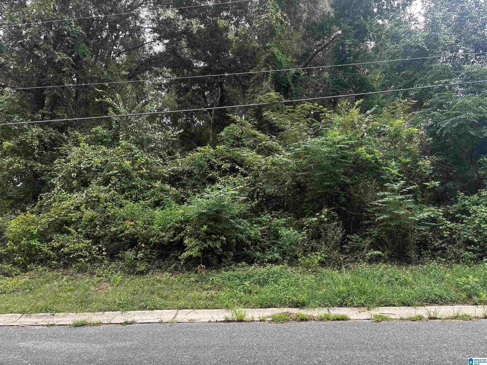 0.54 Acres of Residential Land for Sale in Wilsonville, Alabama