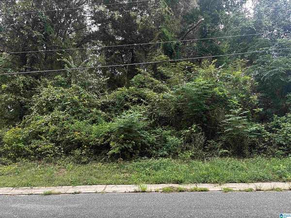 0.54 Acres of Residential Land for Sale in Wilsonville, Alabama