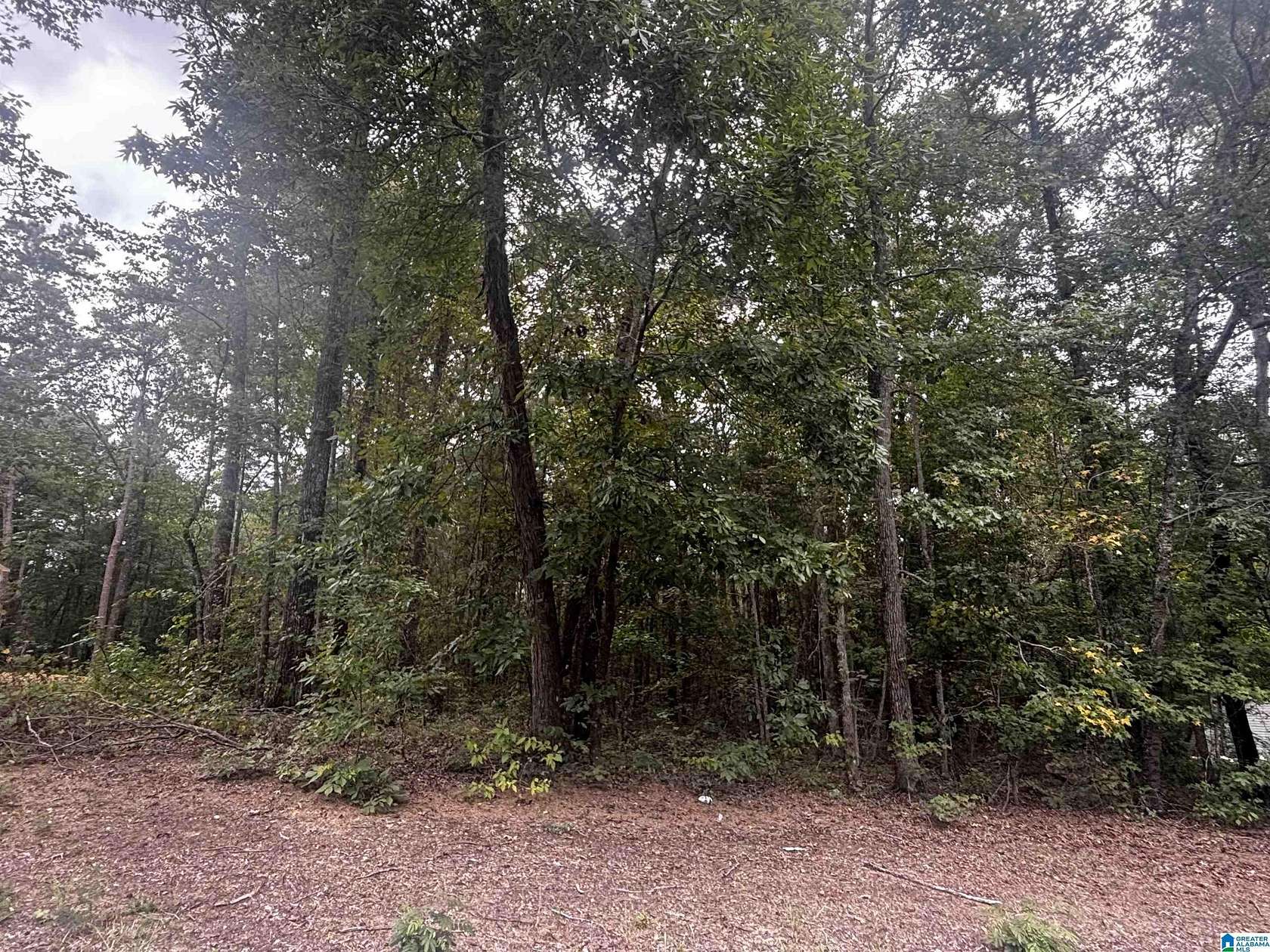 0.55 Acres of Residential Land for Sale in Wilsonville, Alabama
