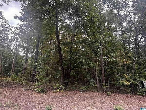 0.55 Acres of Residential Land for Sale in Wilsonville, Alabama
