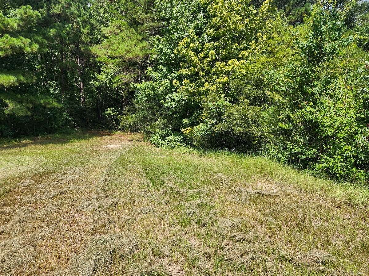 40.1 Acres of Recreational Land with Home for Sale in Burkeville, Texas