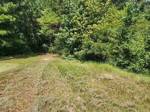 40.1 Acres of Recreational Land with Home for Sale in Burkeville, Texas