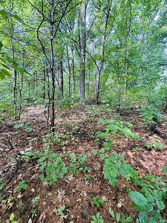 1.73 Acres of Land for Sale in Bloomfield, Indiana