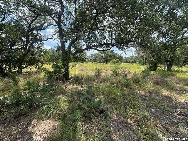 53.4 Acres of Land for Sale in Mico, Texas
