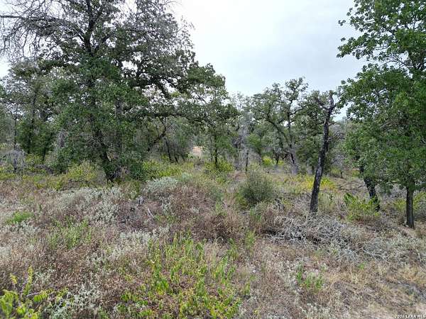 1 Acre of Residential Land for Sale in La Vernia, Texas