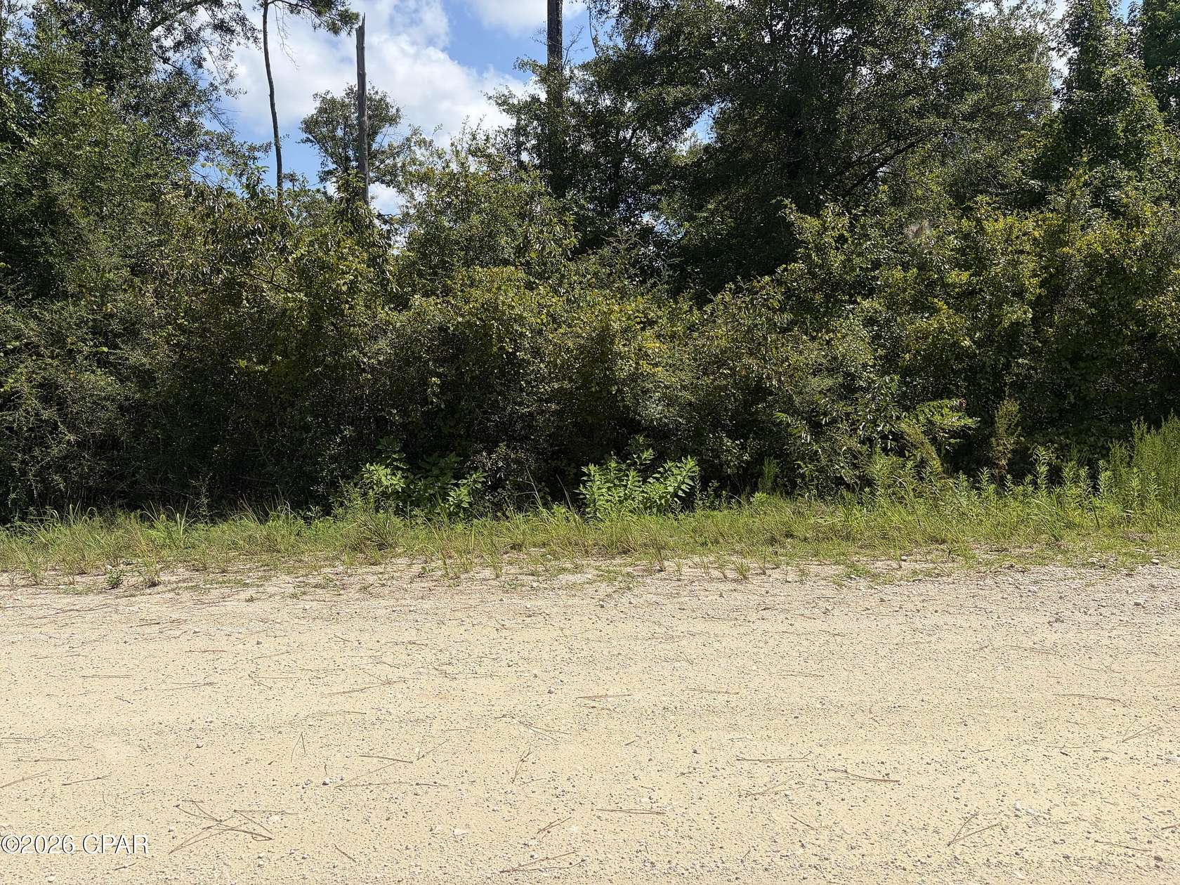 1.25 Acres of Residential Land for Sale in Alford, Florida