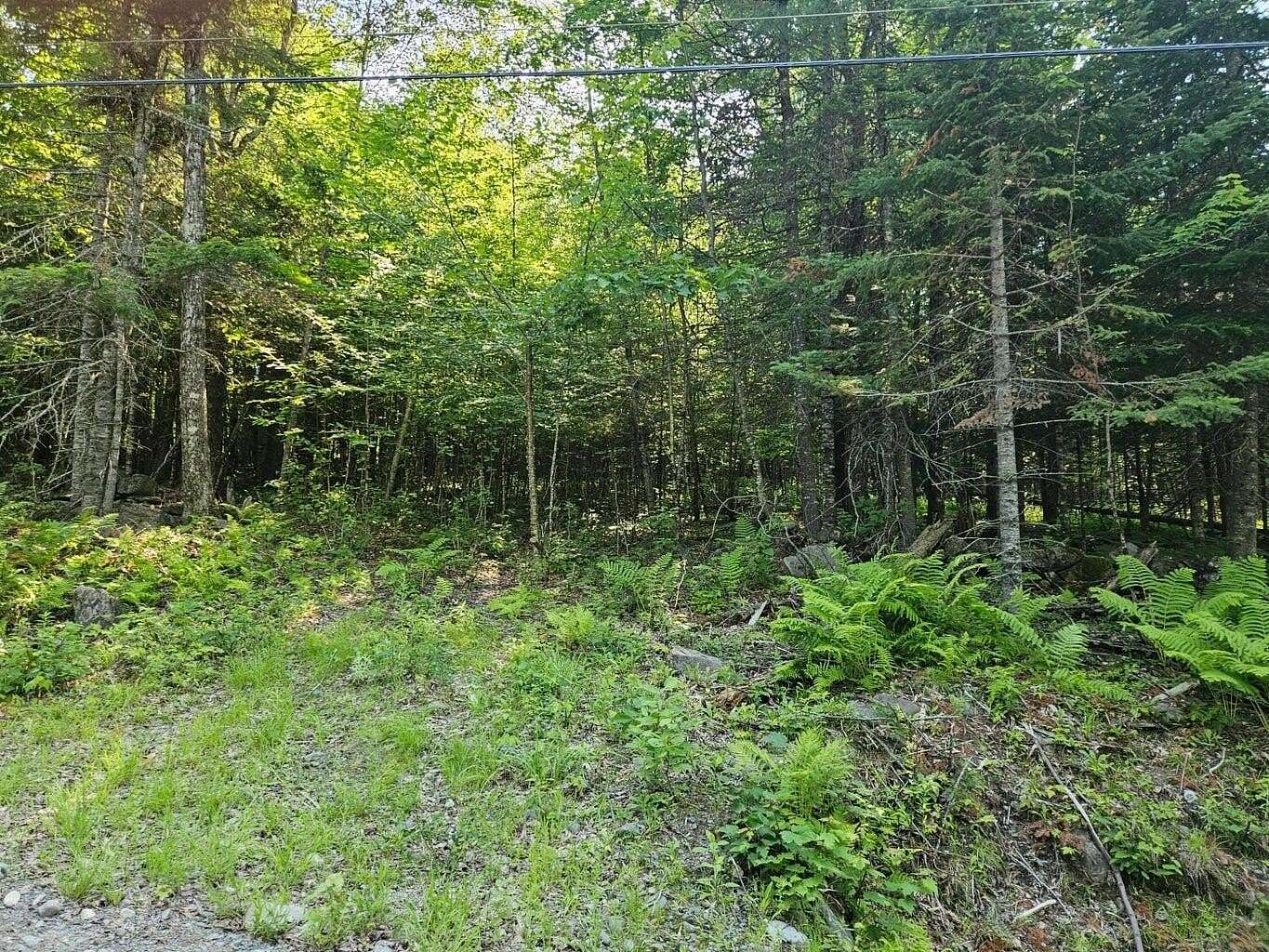 1.4 Acres of Residential Land for Sale in Brownville, Maine