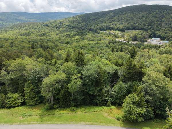 0.44 Acres of Residential Land for Sale in Stony Bottom, West Virginia