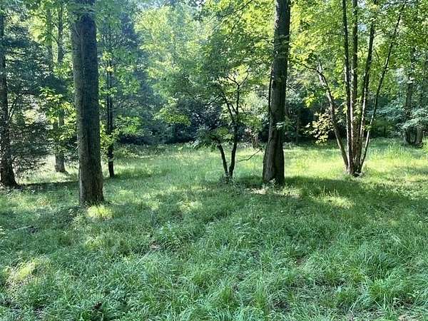 1 Acre of Land for Sale in Hayesville, North Carolina