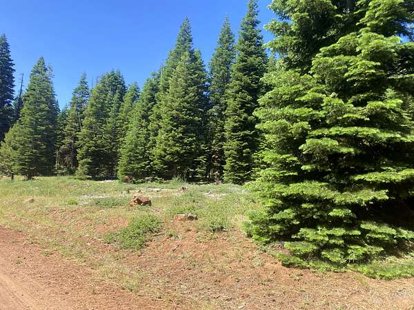 1 Acre of Residential Land for Sale in Alturas, California
